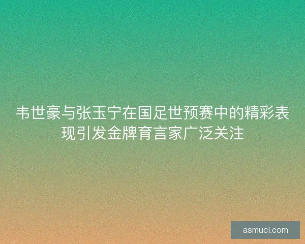 韦世豪与张玉宁在国足世预赛中的精彩表现引发金牌育言家广泛关注